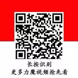 从“润滑专家”到“电动先锋” 德国力魔的低灰值探索与新能源转型启示